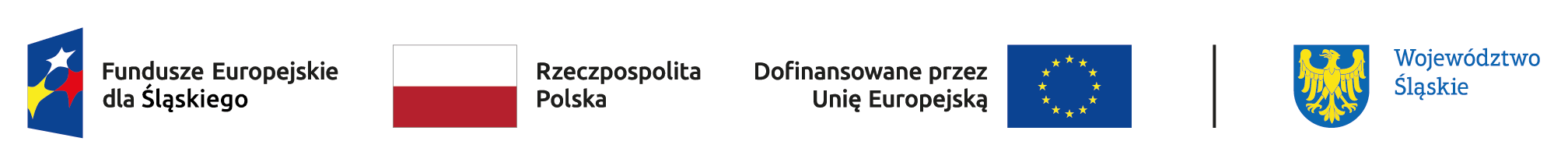 Fundusze Europejskie dla Śląskiego, Rzeczpospolita Polska, Europejski Fundusz Społeczny, Województwo Śląskie